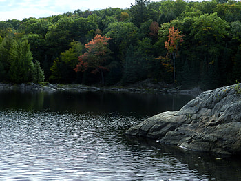 Shoreline View, Rock, graphy, Trees, Lake, Nature HD wallpaper