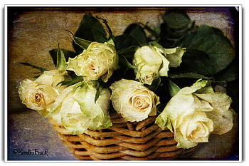 yellow roses, basket, still life, roses, yellow, texture HD wallpaper
