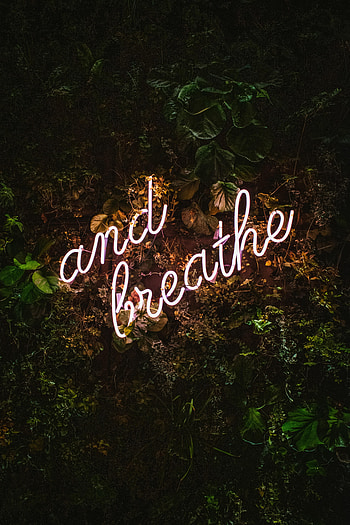 Words, Neon, Backlight, Illumination, Glow, Text HD phone wallpaper