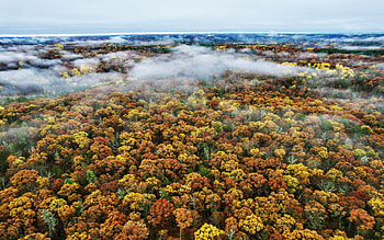 Fog rolling in over the north woods of Danbury, Wisconsin, landscape, colors, trees, autumn, usa HD wallpaper