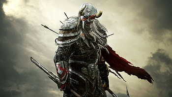 The Elder Scrolls, Knights HD wallpaper