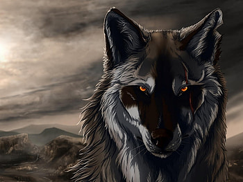 Abstract black wolf, animal, drawn, black, abstract, wildlife, wolf HD wallpaper