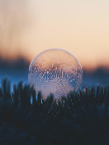 Frozen drop, close up HD phone wallpaper