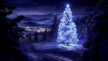 Christmas tree , Natural scenery, Festive background, Holiday spirit HD wallpaper