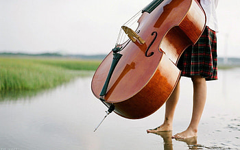 Double Bass , Deep vibrations, Low-end resonance, Stringed rhythms HD wallpaper