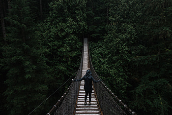 Nature, Bridge, Suspension, Hanging, Human, Person HD wallpaper
