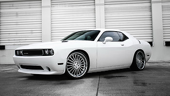 Dodge Challenger White, dodge-challenger, cars, white HD wallpaper