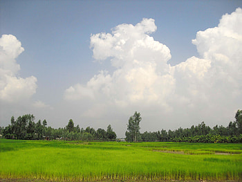 Village Shanto, Bangladesh HD wallpaper