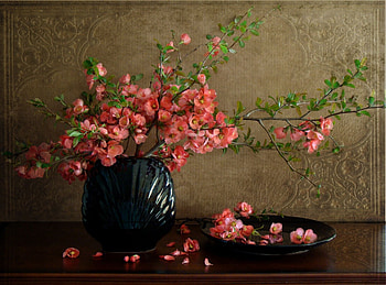 Pretty flowers still, branch, still-life, brown, pink, abstract, graphy, blossoms, flowers HD wallpaper