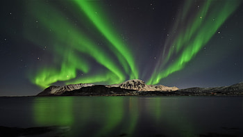 Aurora Across The Bay Lofoten , aurora, northern-lights, beach, nature HD wallpaper