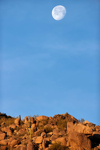 Nature, Stones, Moon, Bush, Rocks HD phone wallpaper