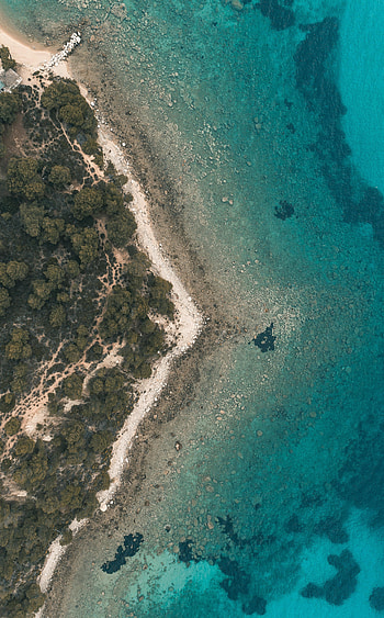 Nature, Water, View From Above, Coast, Forest HD phone wallpaper