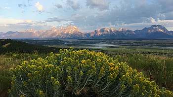 Grand Tetons, usa, wyoming, wildflowers, clouds, landscape, sky HD wallpaper