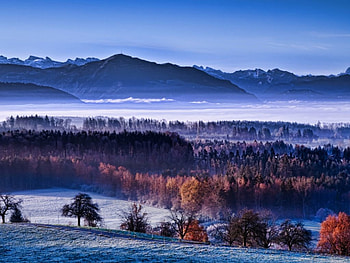 Landscape, snow, fields, nature, tree HD wallpaper