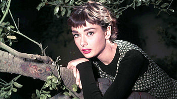 50s classic Sabrina, Trivia, HowStuffWorks HD wallpaper