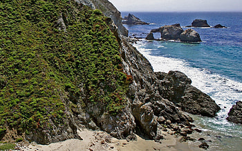Nature, Sea, Rocks, Shore, Bank, Vegetation, Greens HD wallpaper