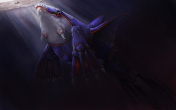 Kyogre (Anime), Pokemon, , backgrounds HD wallpaper