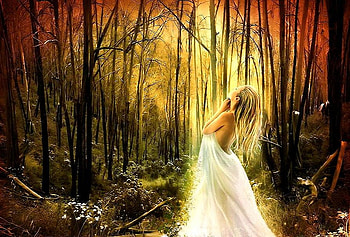 Forest dance, blond, sunlight, branches, trees, happy, woman in white, forest HD wallpaper