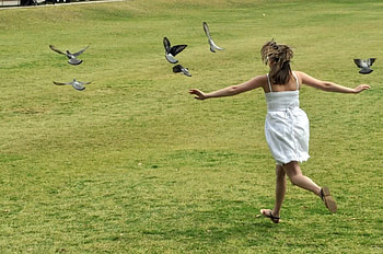Flying , flying, girl, birds, field HD wallpaper