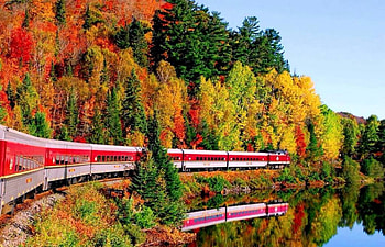 Autumn Trains, Nature, Forests, Autumn, Trains HD wallpaper