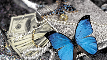 Blue Butterfly On Pearls, pearls, blue, butterfly, birds HD wallpaper