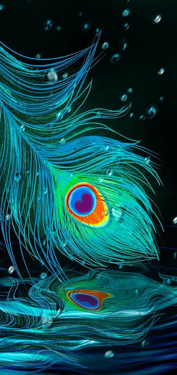 Raining Feathers, puddle, Peacock, aqua, feather, art, green, blue, peackock_feather, wet HD phone wallpaper