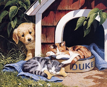 Sharing the house * By Persis Clayton, dog, kitten, puppy, persis clayton, painting, art, cat, pet HD wallpaper