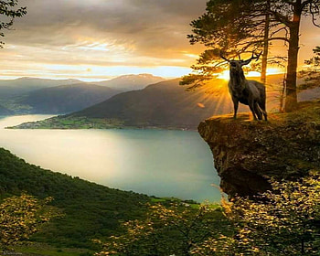 Lookout, cliff, deer, lake, sunset HD wallpaper