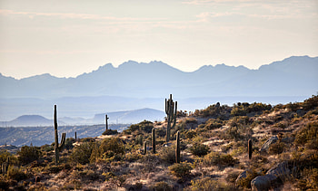 Landscape, Nature, Cactuses, Stones, Mountains, Bush HD wallpaper