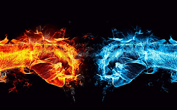 fiery fists, black background, orange flame fist, blue confrontation flame fist, confrontation concepts, flame fists HD wallpaper