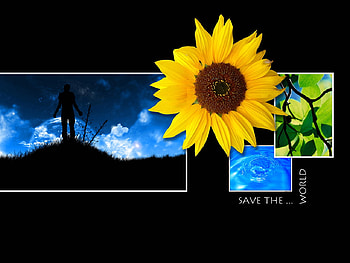 Save the world, black, flower, world, nature, sunflower HD wallpaper