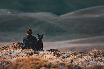 Mountains, Miscellanea, Miscellaneous, Dog, Journey, Girl, Friends HD wallpaper