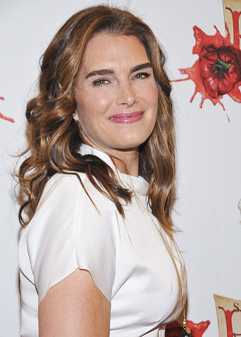 Brooke Shields, Celebrity posters, Stunning portraits, Movies icon HD phone wallpaper