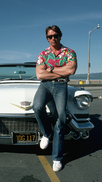 Arnold Schwarzenegger, Timeless beauty, Youthful cars, Iconic man HD phone wallpaper
