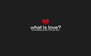 What Is Love, love, typography, minimalism HD wallpaper