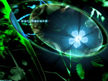 The 'eye' of nature, grass, nature, flowers, eye HD wallpaper
