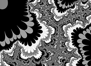 Design, abstract, pattern, black-white, fractals, pretty HD wallpaper