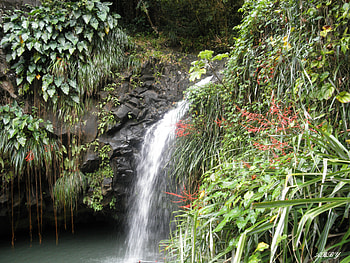 Waterfalls in Grenada Island, Waterfalls, graphy, green, red, nature HD wallpaper