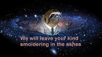 sloth 3 | Sloths | Know Your Meme HD wallpaper