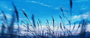 Crops Clouds Anime Evenining Nature , anime, artist, artwork, digital-art, pixiv HD wallpaper