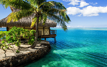 Landscape, Sea, Palms HD wallpaper