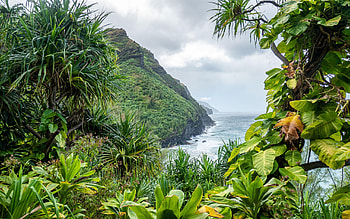 Kalalau Trail, Kauai, Hawaii, cliff, sea, coast, clouds, trees, sky, usa HD wallpaper