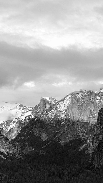 Dark Grayscale Mountains Forest Landscape HD phone wallpaper