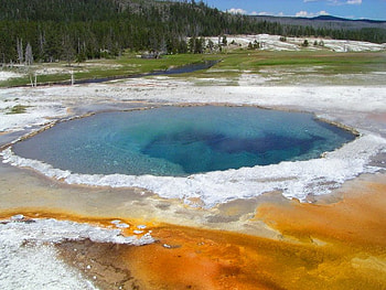 Crested Pool in Yellowstone National Park, trees, grass, pool, water HD wallpaper