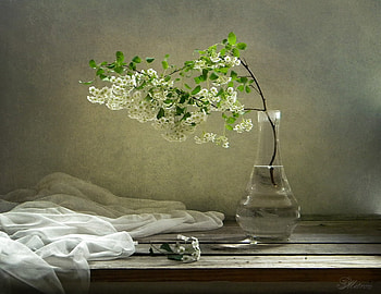 Still life, Flowers, Tablecloth, Vase, Table HD wallpaper