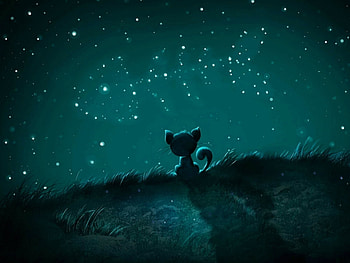Animals, Cats HD wallpaper