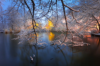 Snow, Winter, , Branch, Frozen, Lake HD wallpaper
