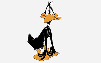 Sad and surprised, Daffy Duck, , Cartoon HD wallpaper