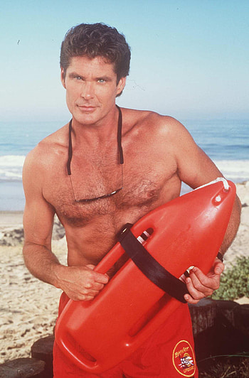 David Hasselhoff movies, Age inquiry, Hayley Roberts, Net worth revelation HD phone wallpaper
