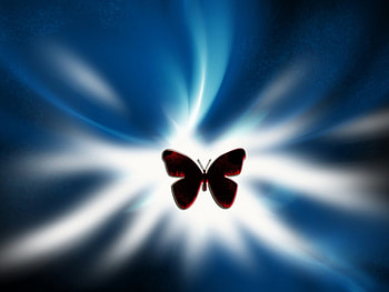 Above the storm, blue, butterfly HD wallpaper